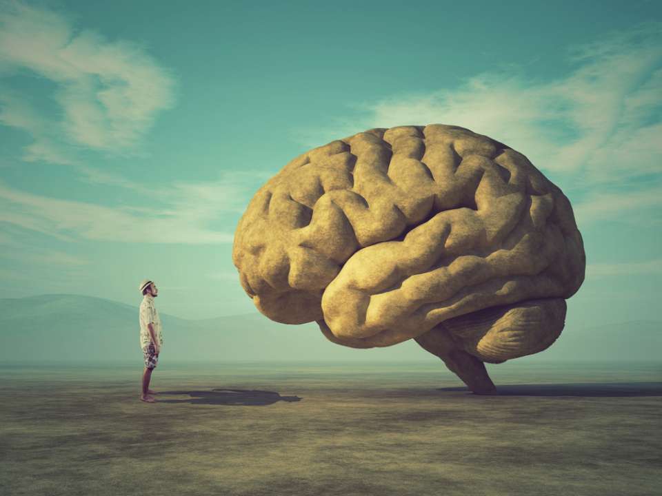 мозг и человек подсознание